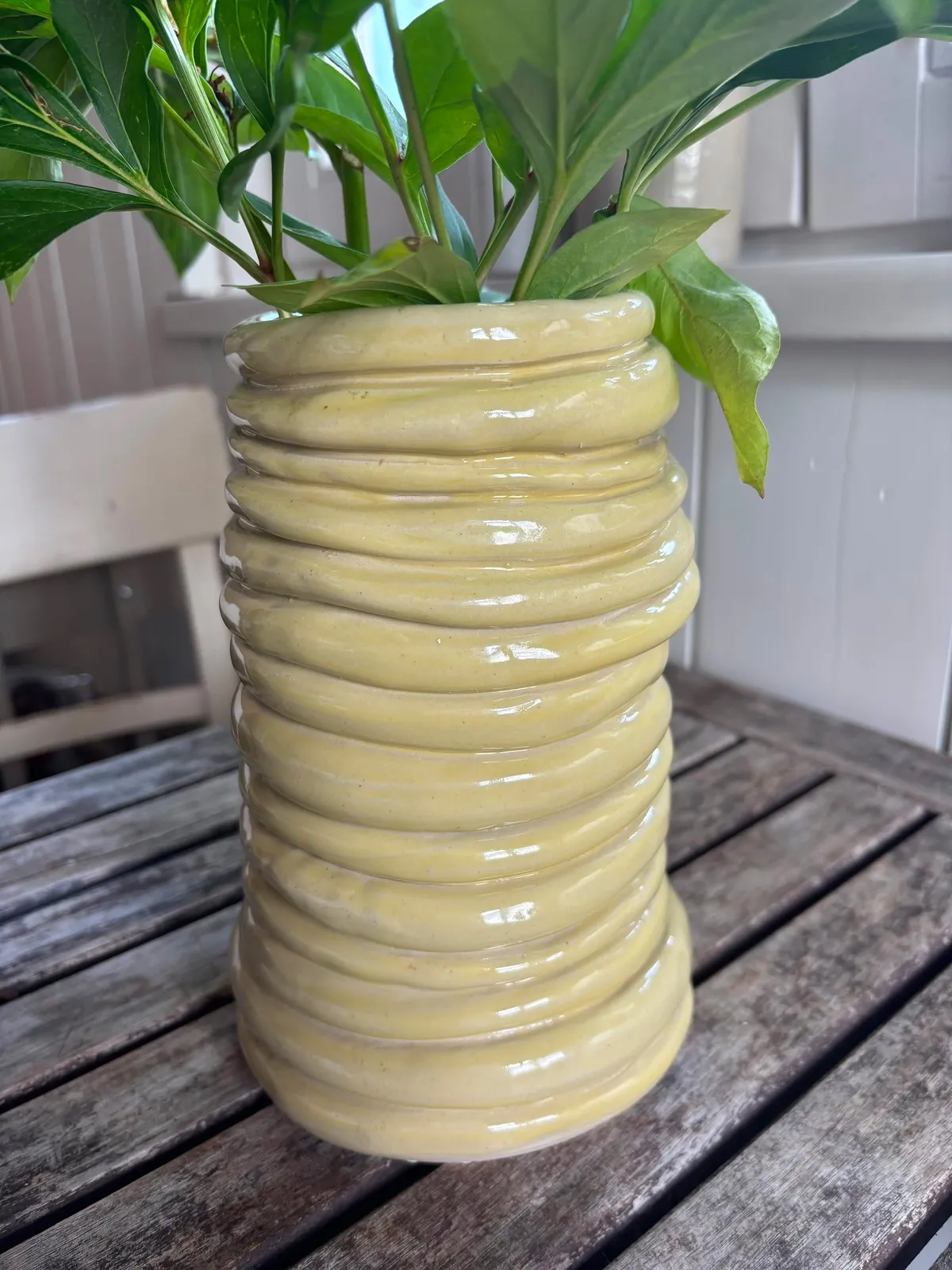 Gelbe Vase aus Tonwülsten mit Pflanze
